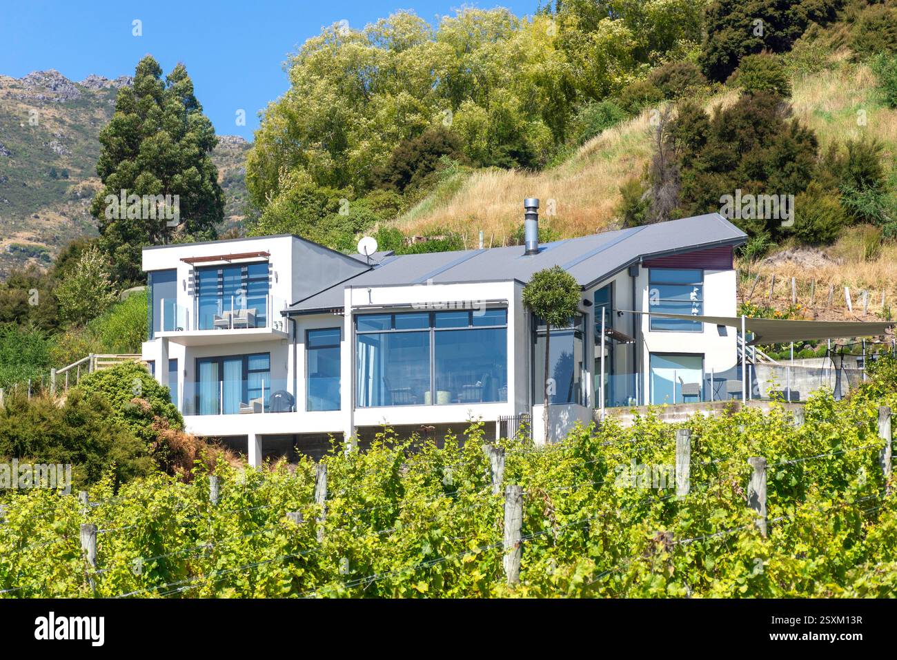 Casa moderna e vigneto, Aylmers Valley Road, Akaroa, Banks Peninsula, Canterbury Region, isola del Sud, nuova Zelanda Foto Stock