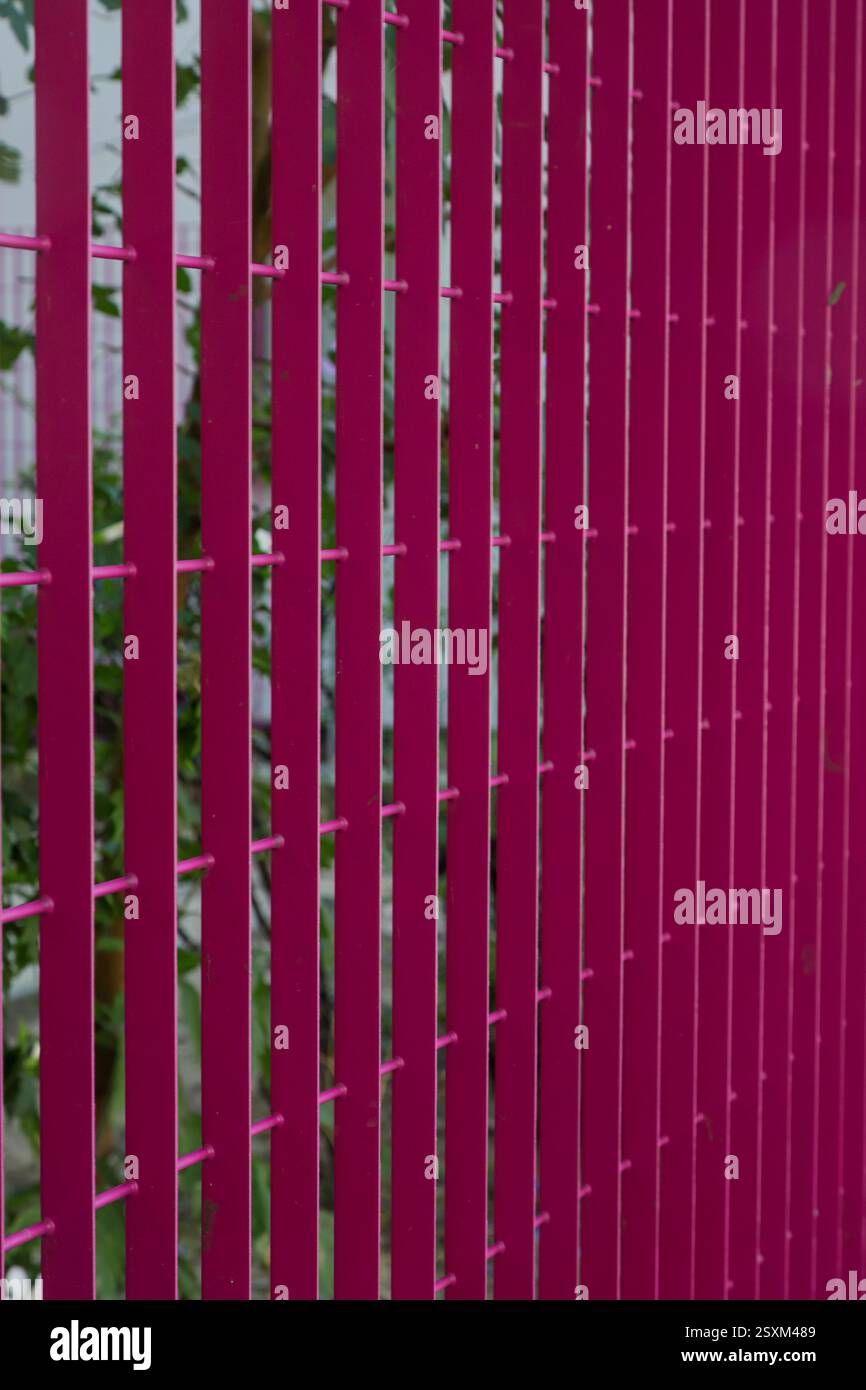 Una colorata recinzione rosa circonda un lussureggiante giardino, che mostra una vibrante vegetazione in uno spazio urbano, con la luce del sole che proietta ombre tenui sulla recinzione. Foto Stock