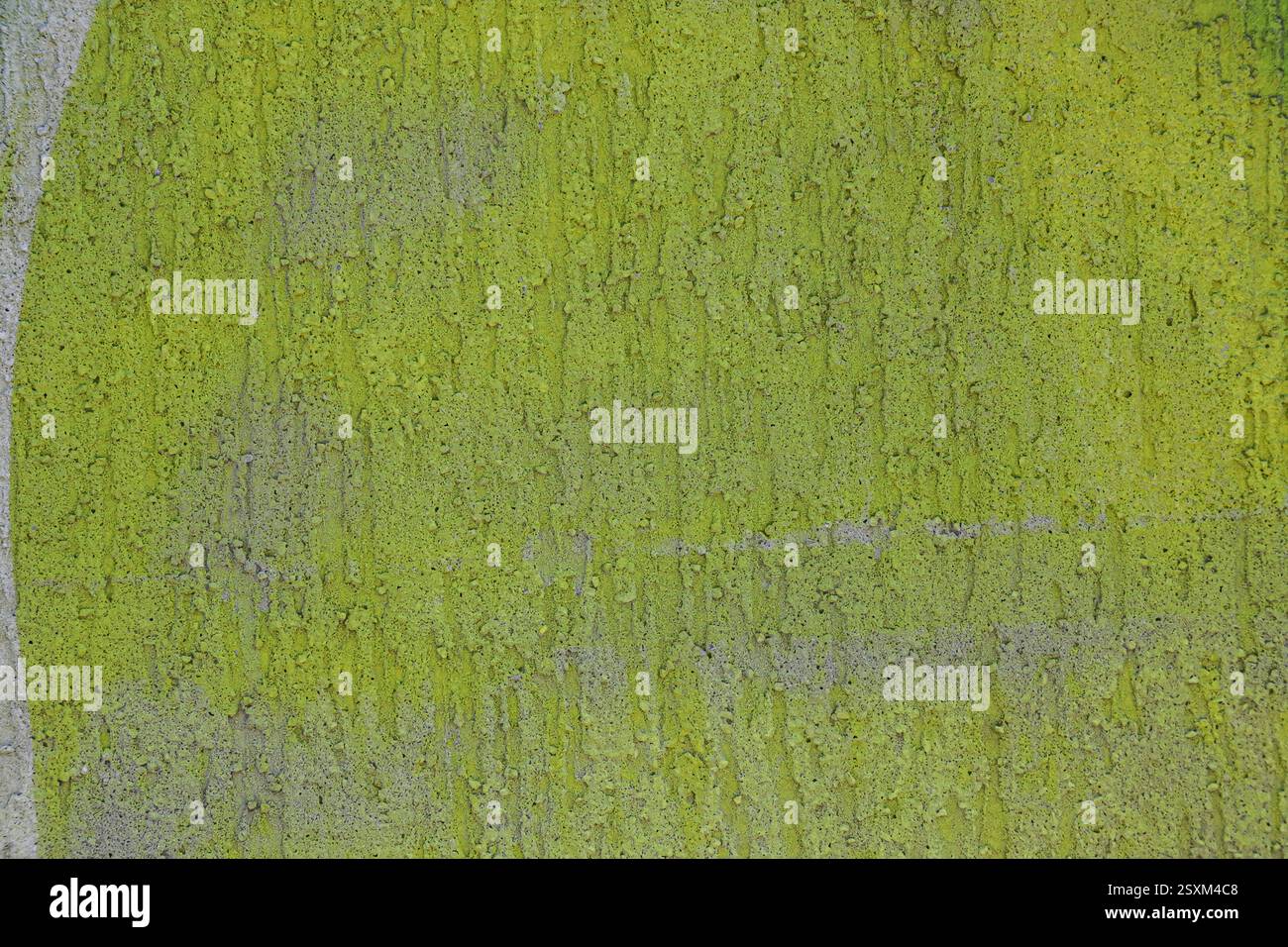 Una parete verde brillante a Bucarest rivela texture intricate, incarnando l'espressione artistica locale e valorizzando il paesaggio urbano della città. Foto Stock