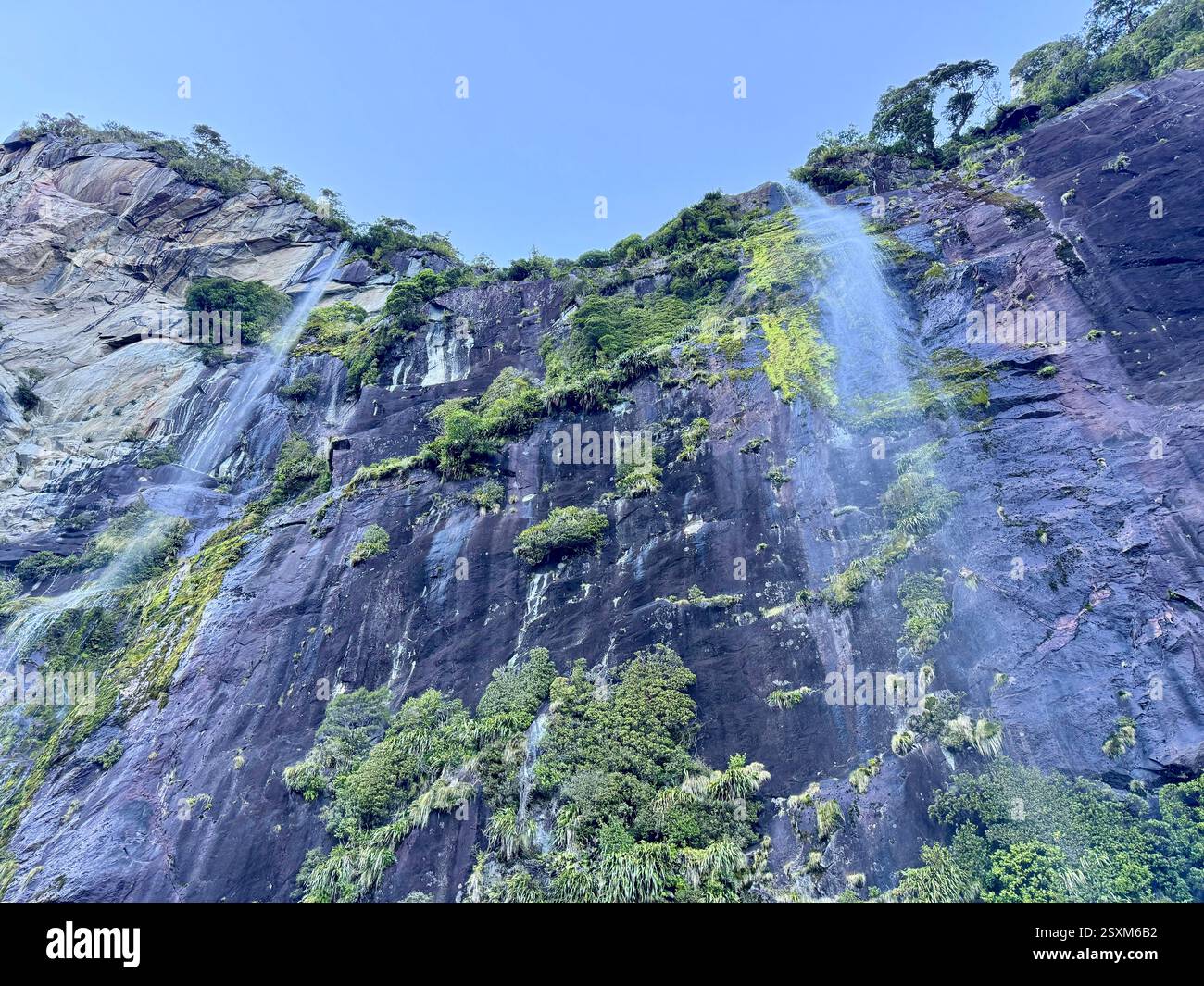 Cascate Bridal Veil al Milford Sound Fiordland National Park, nuova Zelanda - Immagine stock catturata con smartphone