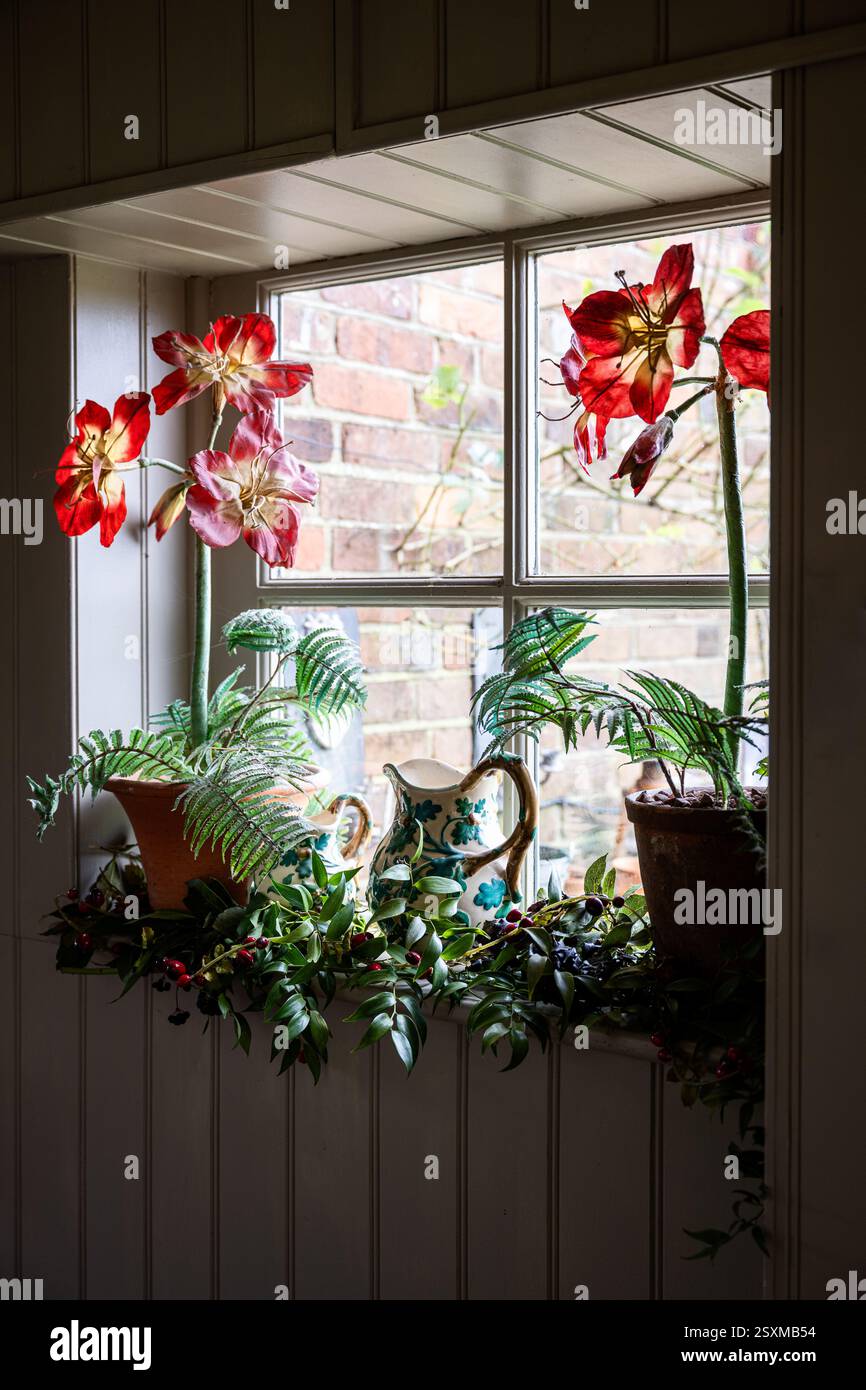 Felci e fiori in vetrina di una casa colonica ristrutturata East Sussex Tudor risalente al 1540, Inghilterra, Regno Unito. Foto Stock