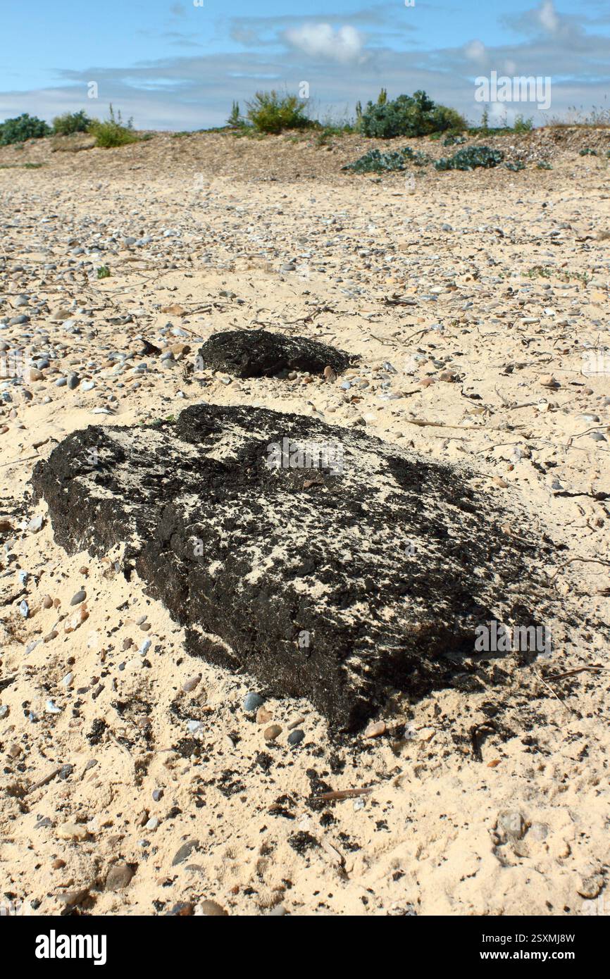 Antico tronco di torba sulla spiaggia di Kessingland, Suffolk, Regno Unito Foto Stock