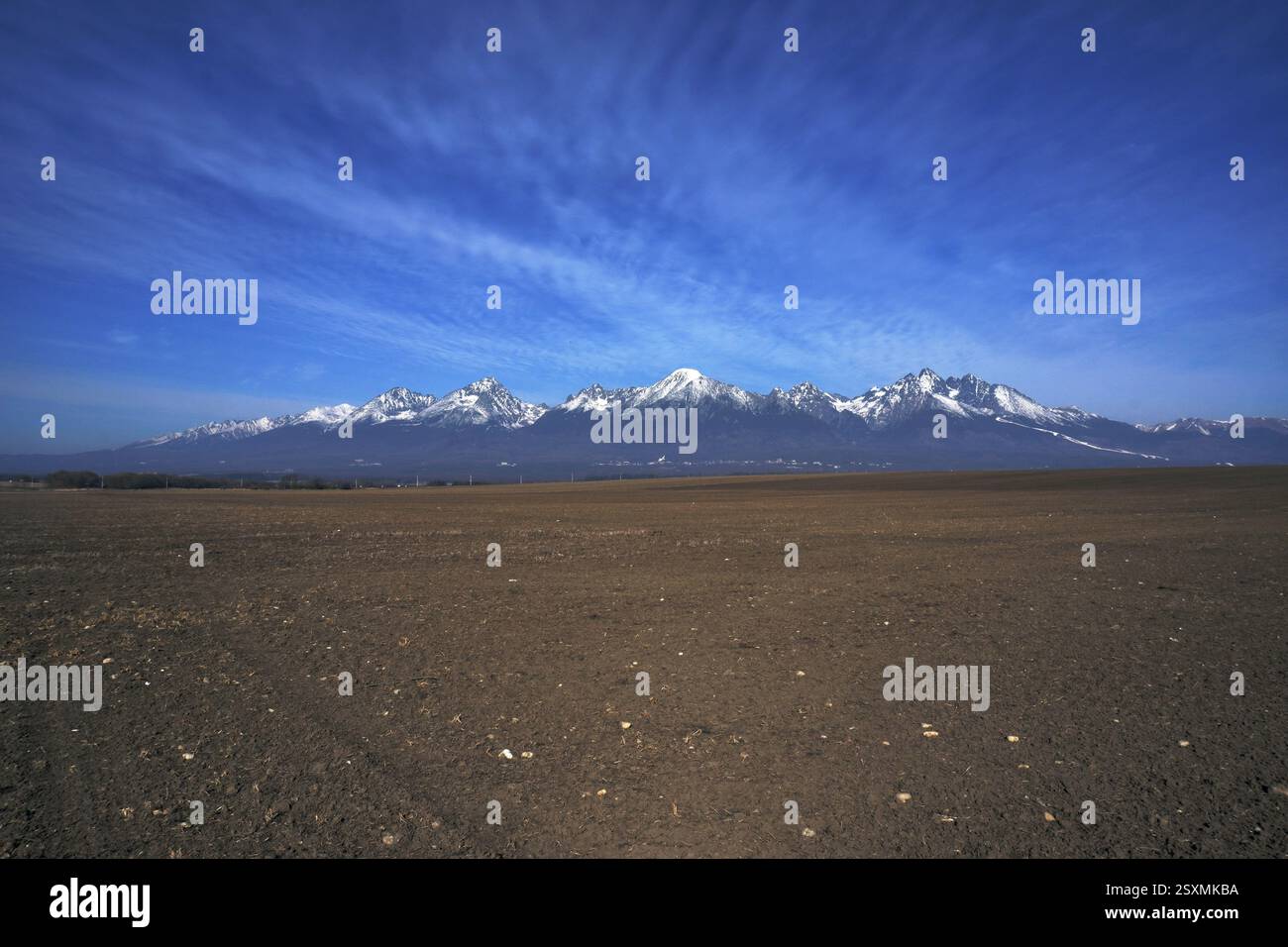 Vista panoramica dei monti Tatra. Paesaggio degli alti Tatra all'inizio della primavera. Cime innevate e cielo blu. Punto di vista dallo slovacco, Tatra Foto Stock