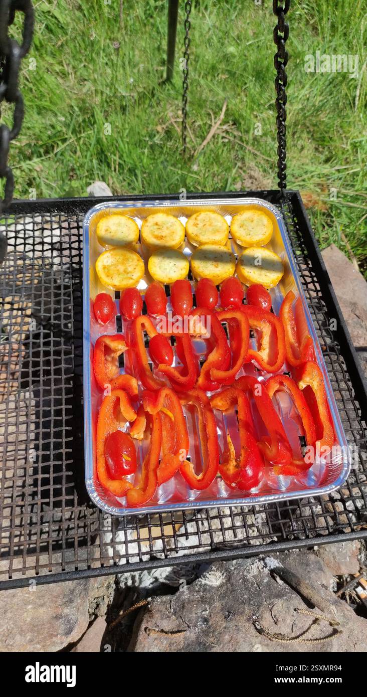 barbecue all'aperto con vero legno. Piatto colorato con cibo, cucina. Festa estiva al sole alla griglia. Vegetariano o vegano, niente carne. Foto Stock