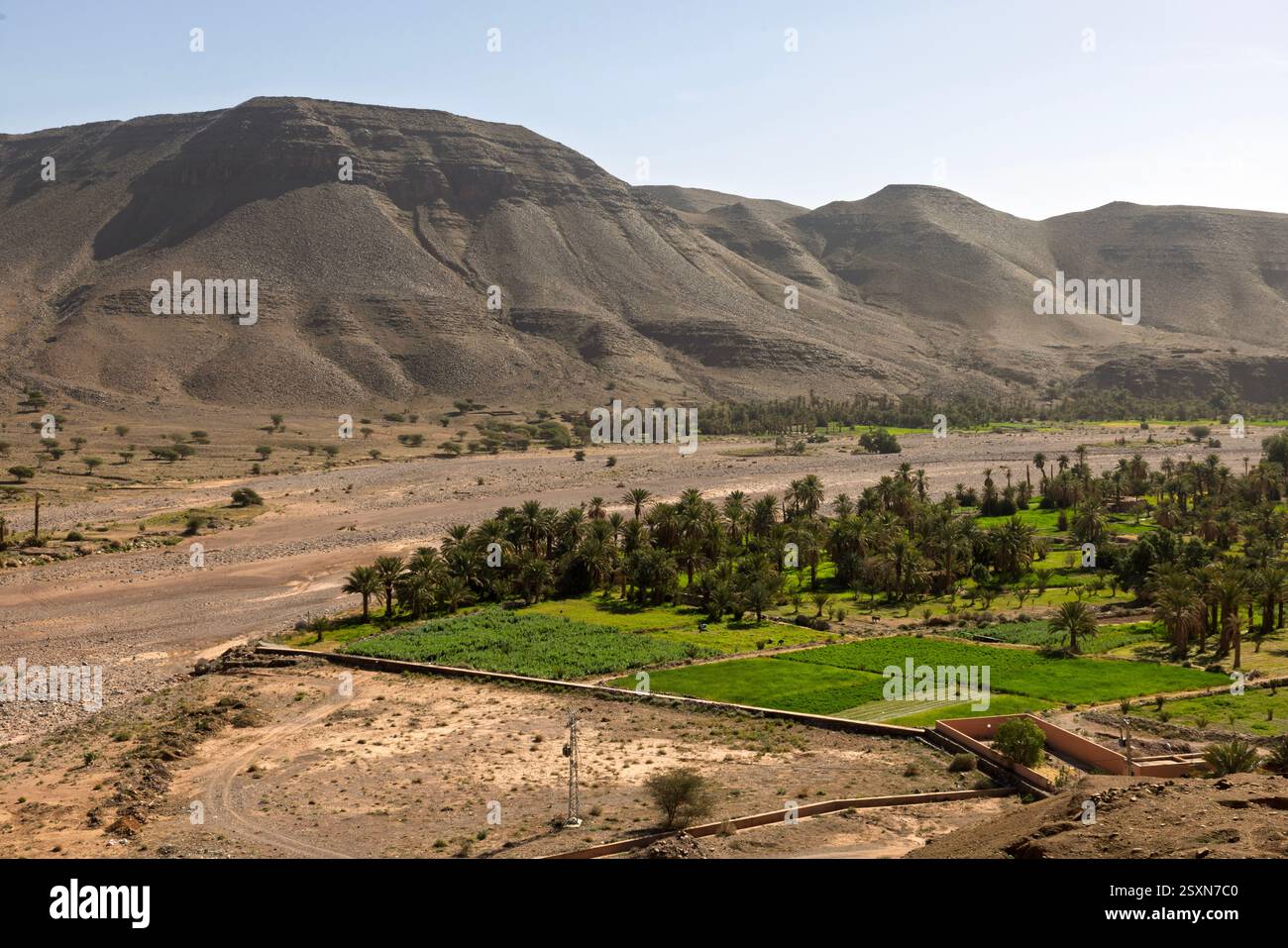 L'oasi di Allogoum si trova alla base della catena montuosa di Jbel Bani, che si estende attraverso la provincia di Tata, in Marocco. Foto Stock