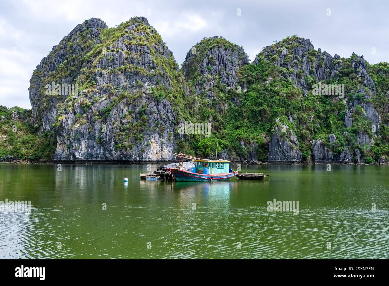Barche da pesca nel villaggio di pescatori di Cai Beo, il più grande antico villaggio di pescatori del Vietnam nella baia di LAN ha, Cat Ba, parte della baia di ha Long, Vịnh Hạ Long. Foto Stock