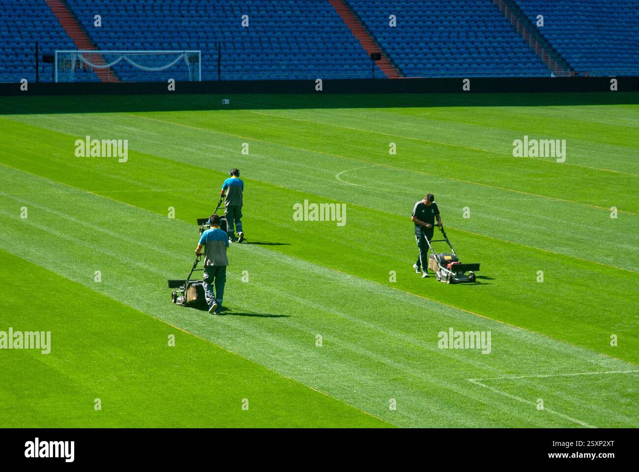 I Groundsmen sono al lavoro allo stadio Santiago Bernabéu, sede della squadra di calcio del Real Madrid a Madrid, Spagna Foto Stock