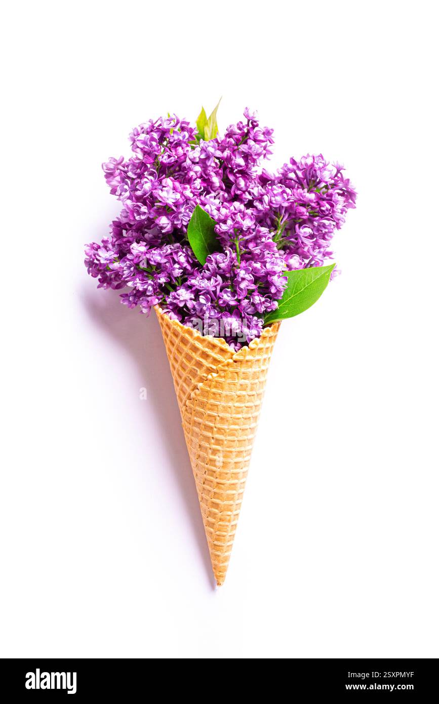 Fiori lilla viola in cono gelato a cialde isolato su sfondo bianco, layout creativo, elemento di design. Concetto stagionale primaverile Foto Stock