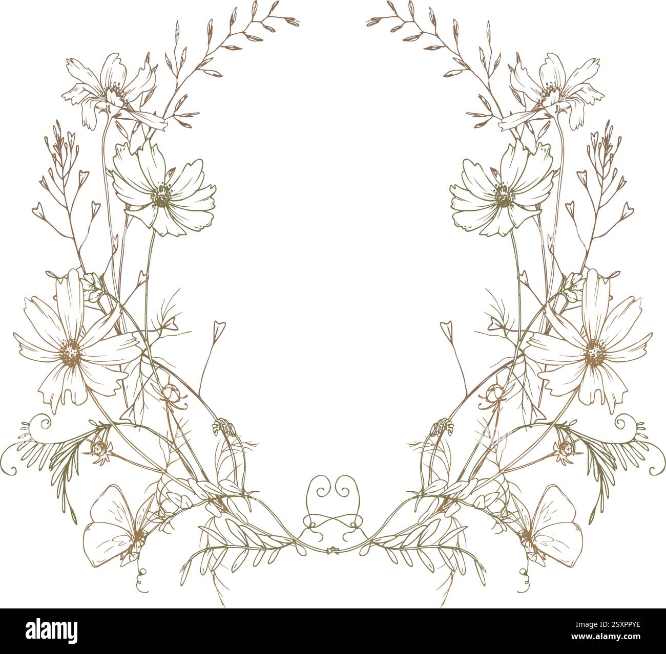 Campo, prato, fiori selvatici ed erbe cosmo e altro, farfalla. La line art è una semplice illustrazione disegnata a mano con inchiostro beige, ocra e marrone. Cerchio Illustrazione Vettoriale