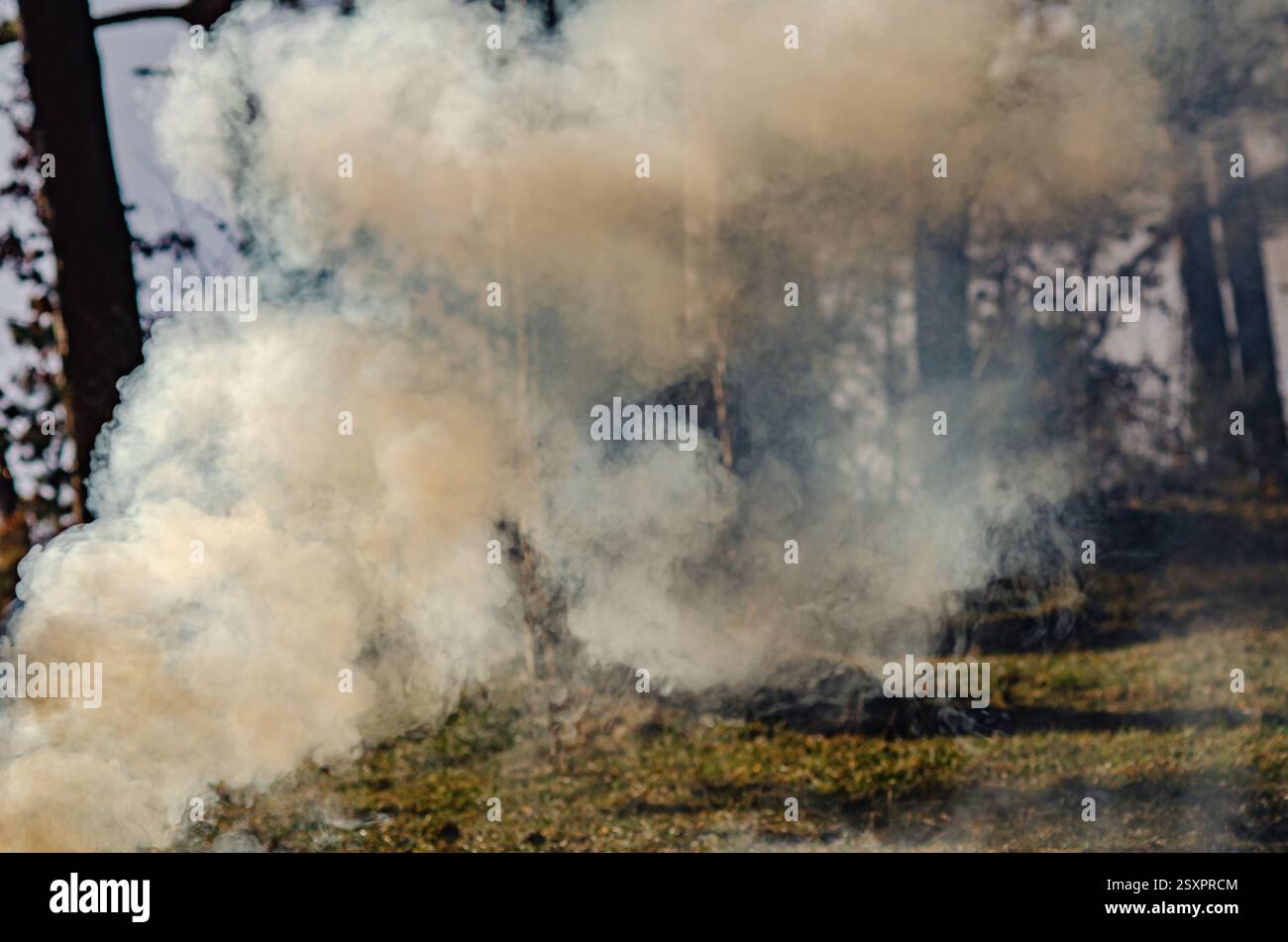 Fumo nebbioso che si arriccia verso l'alto dal fuoco che svanisce in un campo tranquillo all'alba Foto Stock