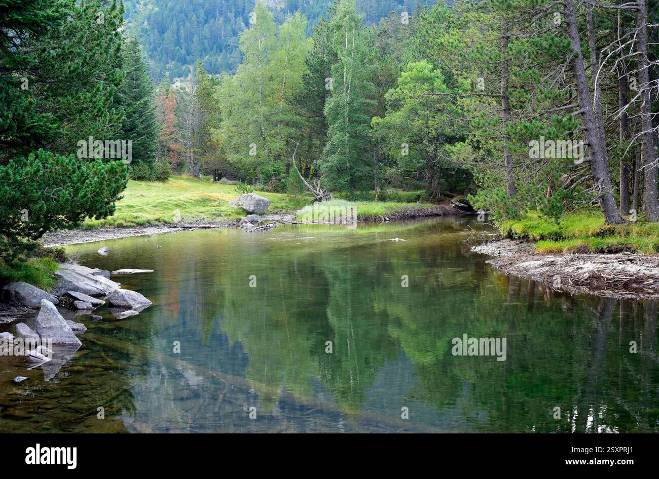 Parco nazionale Aigüestortes i Estany de Sant Maurici, fiume Sant Nicolau. Situato tra Espot e Vall de Boí. Alta baganza, Lleida, Catalogna, SP Foto Stock