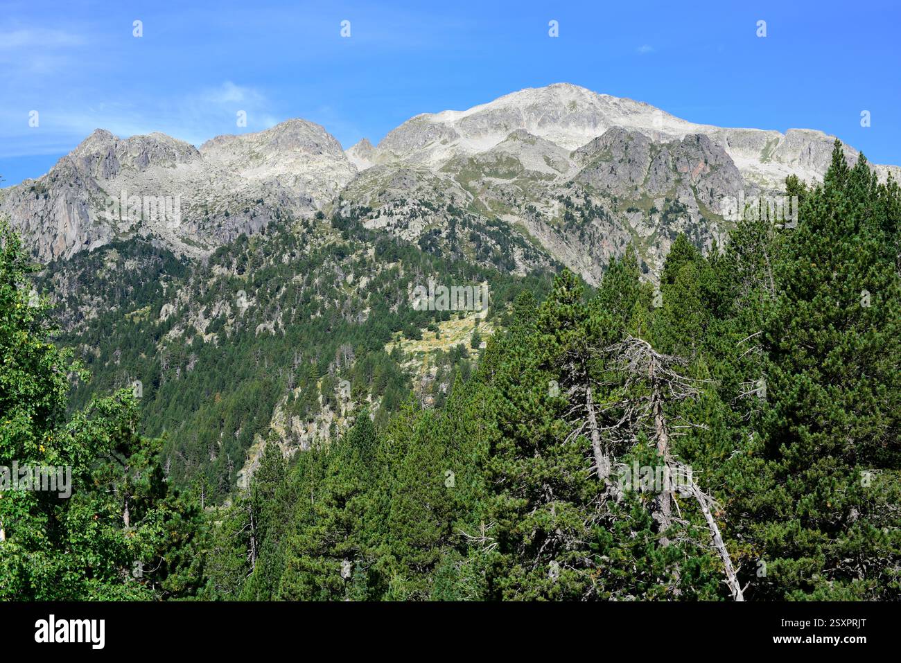 Parco nazionale Aigüestortes i Estany de Sant Maurici. Situato tra Espot e Vall de Boí. Alta Ribaganza, Lleida, Catalogna, Spagna. Foto Stock