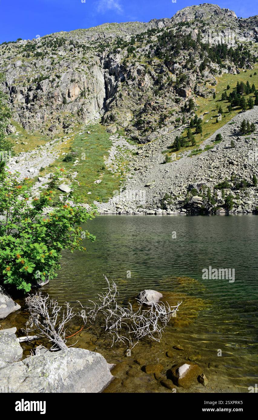 Parco nazionale Aigüestortes i Estany de Sant Maurici. Estany Llong. Situato tra Espot e Vall de Boí. Alta Ribaganza, Lleida, Catalogna, Spagna. Foto Stock