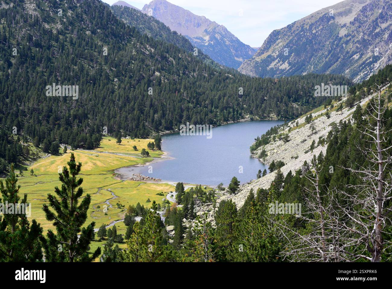 Parco nazionale Aigüestortes i Estany de Sant Maurici. Estany Llong. Situato tra Espot e Vall de Boí. Alta Ribaganza, Lleida, Catalogna, Spagna. Foto Stock