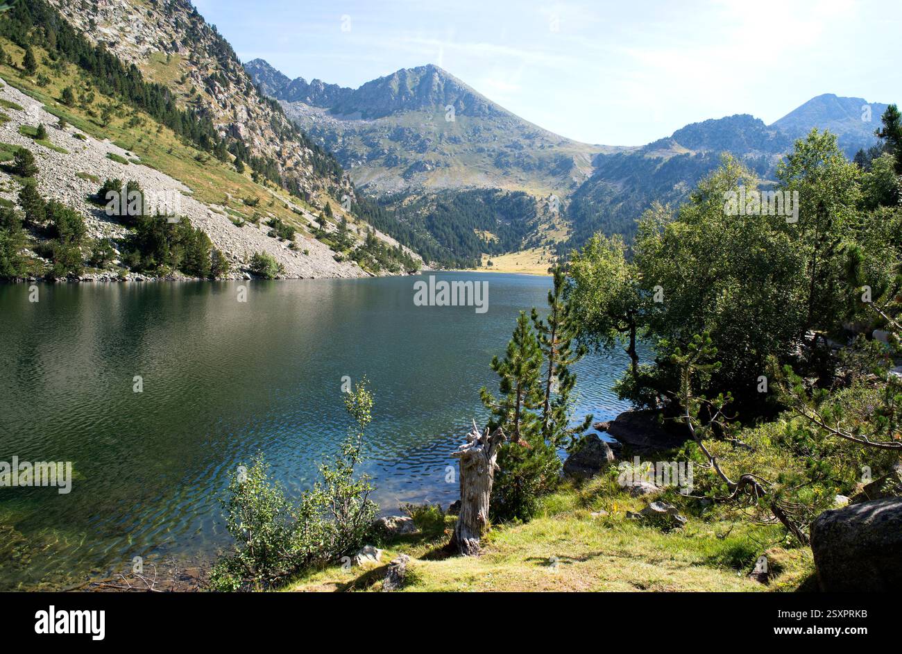 Parco nazionale Aigüestortes i Estany de Sant Maurici. Estany Llong. Situato tra Espot e Vall de Boí. Alta Ribaganza, Lleida, Catalogna, Spagna. Foto Stock