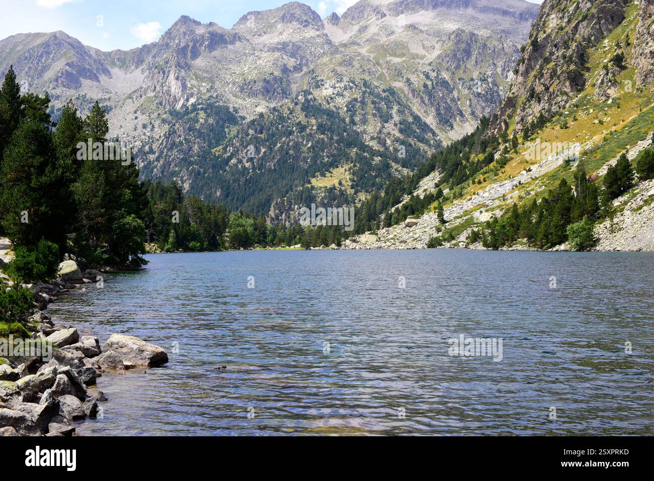 Parco nazionale Aigüestortes i Estany de Sant Maurici. Estany Llong. Situato tra Espot e Vall de Boí. Alta Ribaganza, Lleida, Catalogna, Spagna. Foto Stock