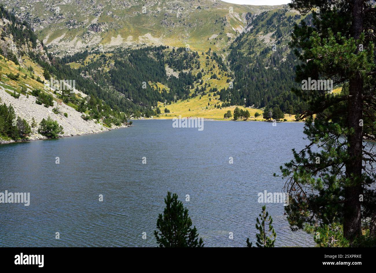 Parco nazionale Aigüestortes i Estany de Sant Maurici. Estany Llong. Situato tra Espot e Vall de Boí. Alta Ribaganza, Lleida, Catalogna, Spagna. Foto Stock