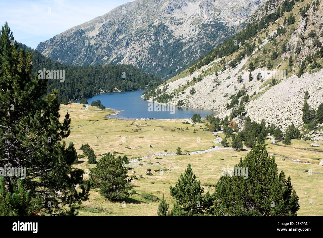 Parco nazionale Aigüestortes i Estany de Sant Maurici. Estany Llong. Situato tra Espot e Vall de Boí. Alta Ribaganza, Lleida, Catalogna, Spagna. Foto Stock