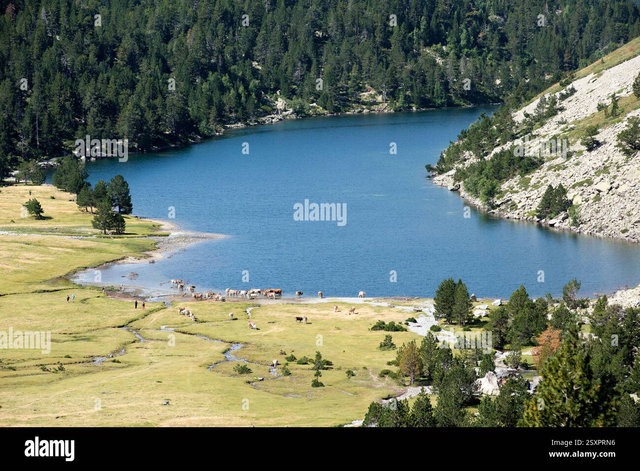 Parco nazionale Aigüestortes i Estany de Sant Maurici. Estany Llong. Situato tra Espot e Vall de Boí. Alta Ribaganza, Lleida, Catalogna, Spagna. Foto Stock