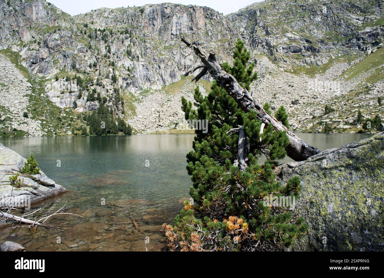 Parco nazionale Aigüestortes i Estany de Sant Maurici. Estany Rodó. Situato tra Espot e Vall de Boí. Alta Ribaganza, Lleida, Catalogna, Spagna. Foto Stock