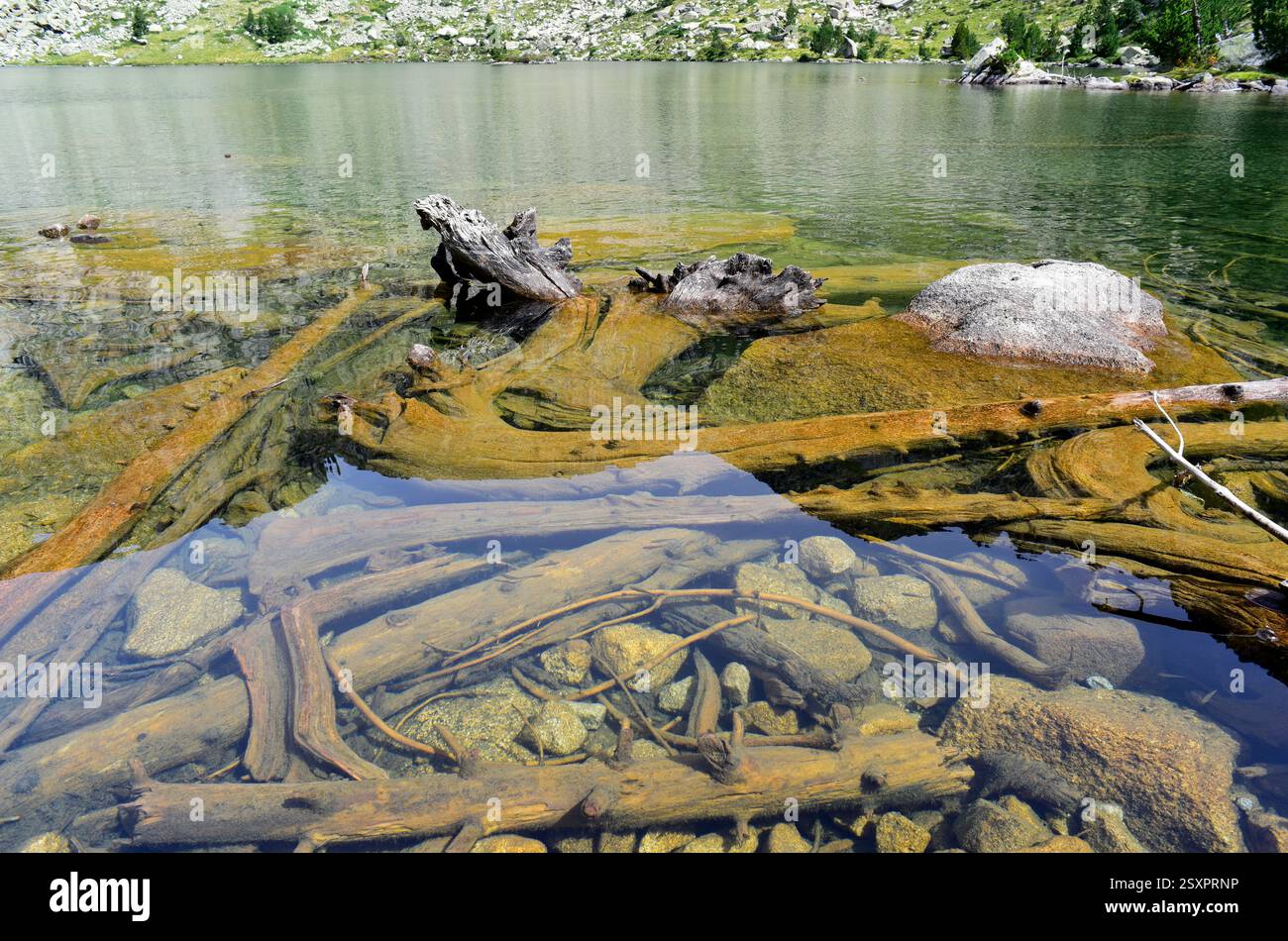 Parco nazionale Aigüestortes i Estany de Sant Maurici. Estany Rodó. Situato tra Espot e Vall de Boí. Alta Ribaganza, Lleida, Catalogna, Spagna. Foto Stock
