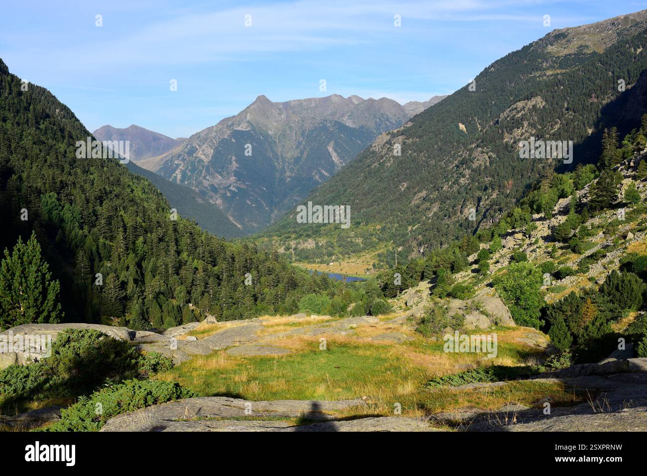 Parco nazionale Aigüestortes i Estany de Sant Maurici. Estany de la Llabreta. Situato tra Espot e Vall de Boí. Alta Ribaganza, Lleida, Catalogna, Foto Stock