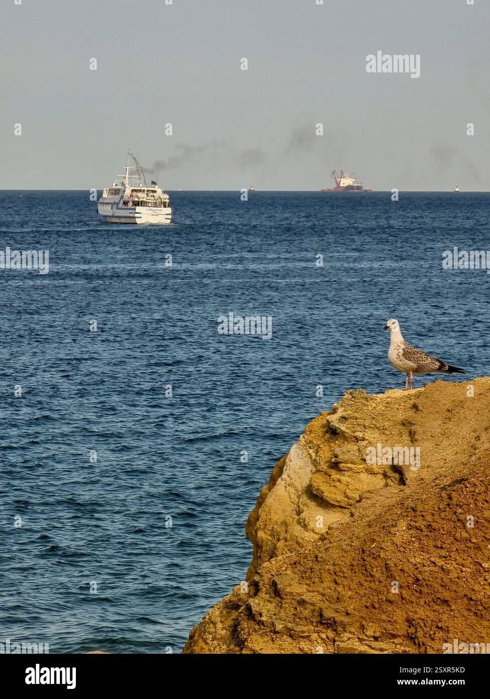 Uccello (gabbiano) sulla roccia gialla di fronte al Mar Nero, con la nave sullo sfondo che sta navigando via (con pennacchio di fumo); Concept addio, addio - Immagine stock catturata con smartphone