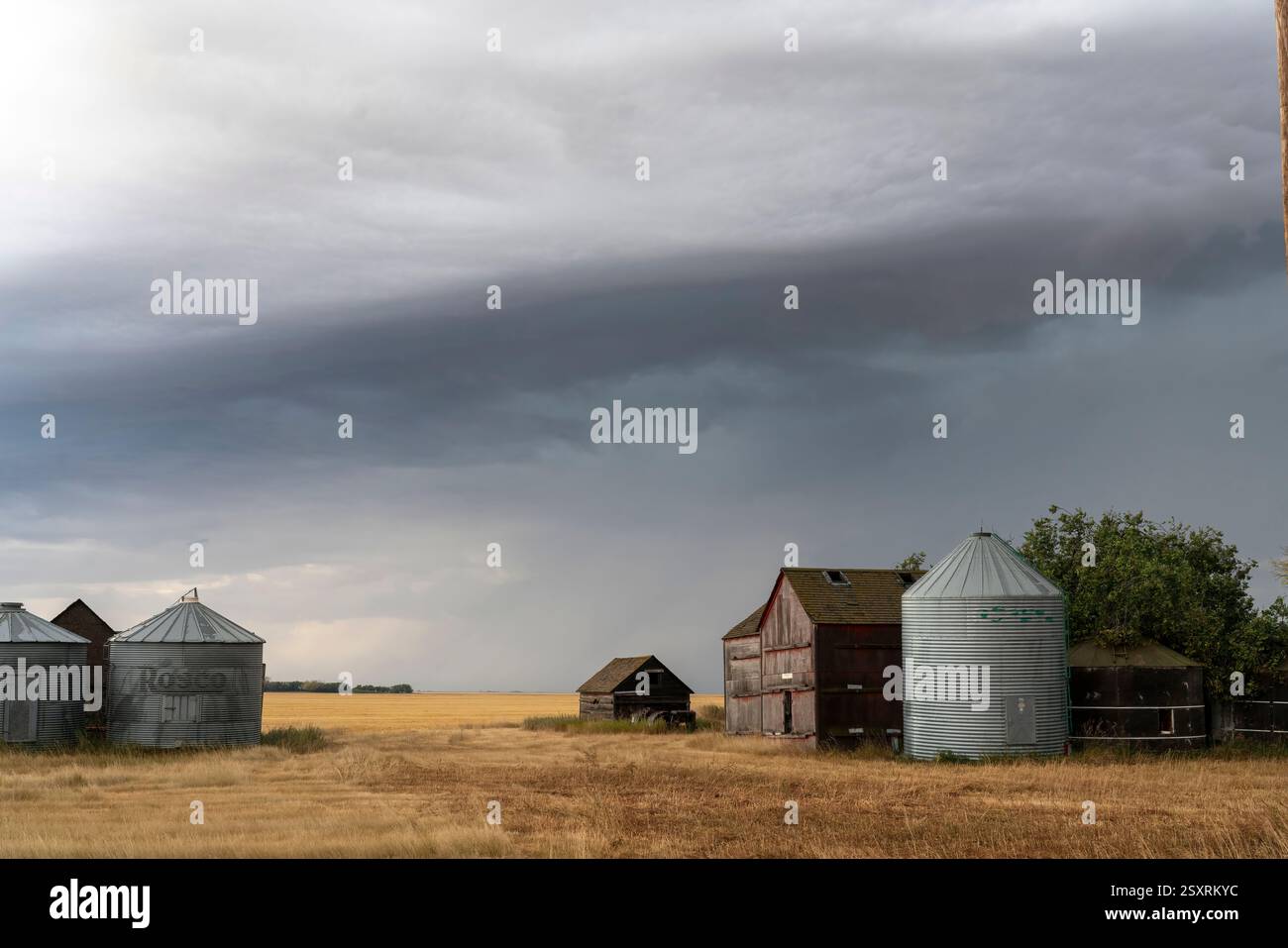 Nuvole oscure e minacciose si riuniscono su una fattoria con bidoni di grano e fienili nelle praterie Foto Stock