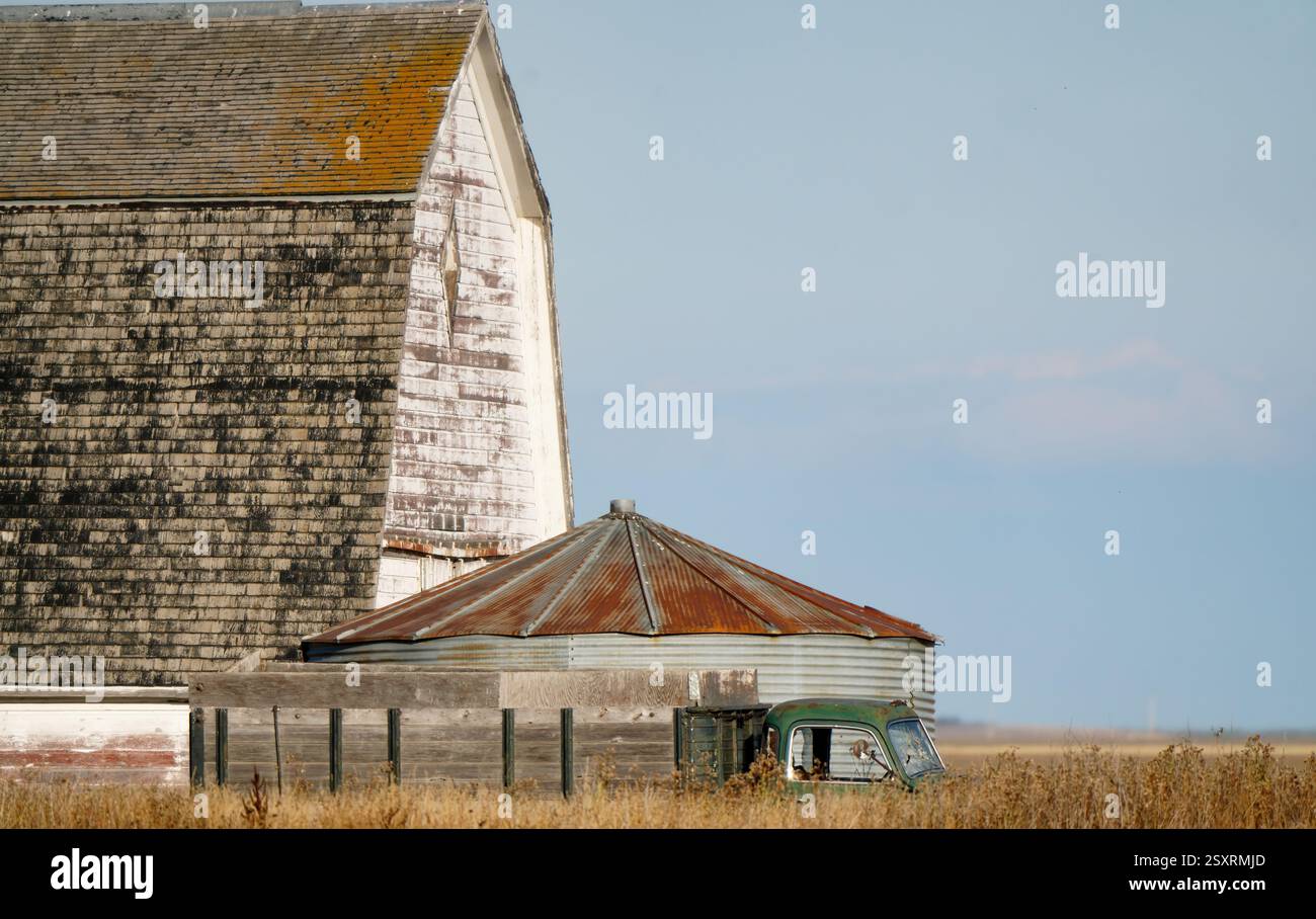 Un vecchio fienile e un silo arrugginito sorgono in una fattoria nella campagna americana, evocando un senso di tranquillità rurale Foto Stock