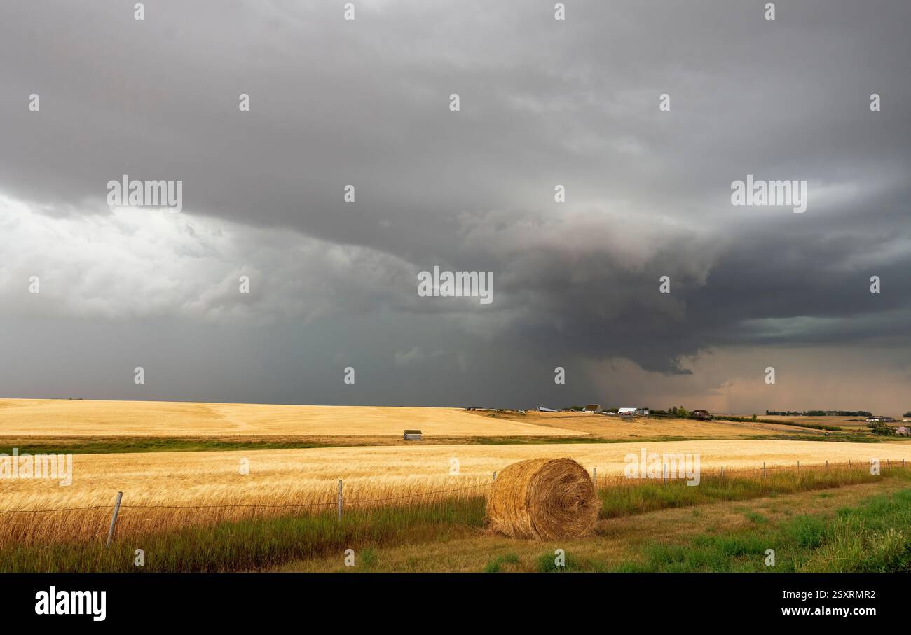 Nuvole di tempesta scure che si formano su un campo di grano dorato con balle di fieno, creando una scena drammatica e minacciosa nella campagna Foto Stock