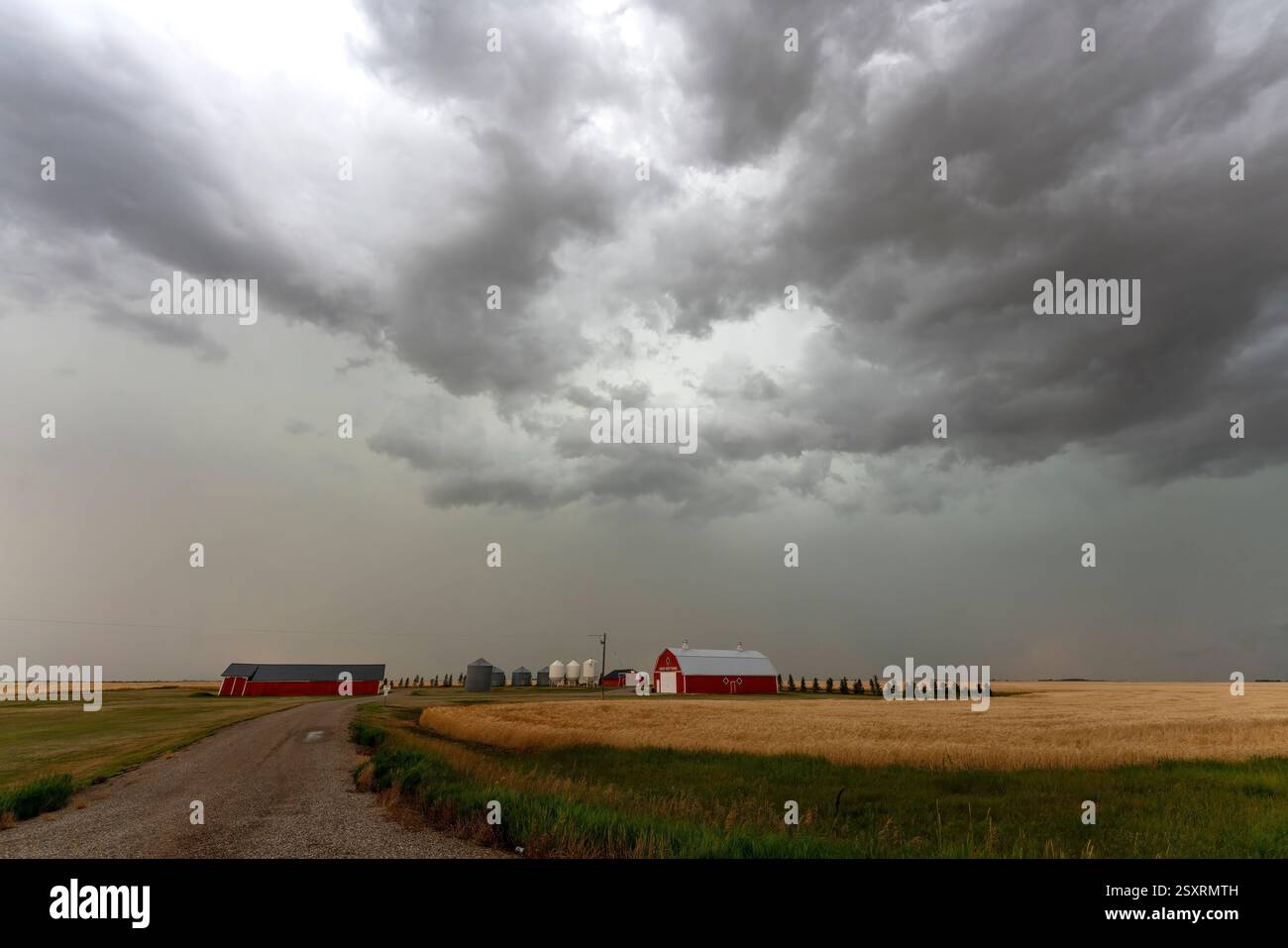 Nuvole di tempesta scure si stanno radunando sopra una fattoria nelle praterie canadesi Foto Stock