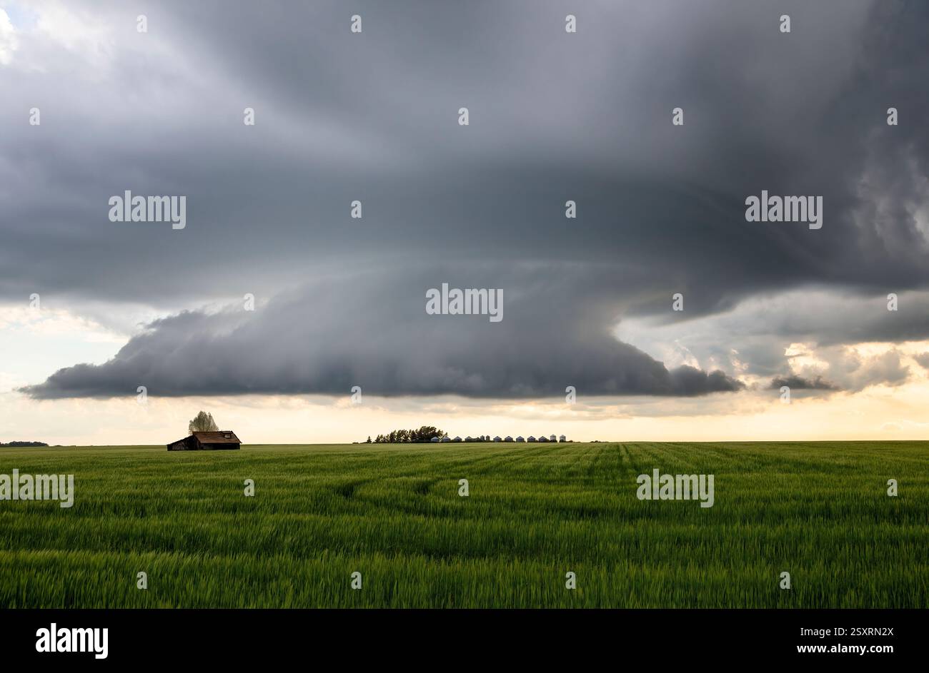Le spettacolari nuvole di tempesta supercell si stanno radunando su un campo verde con piste di pneumatici e una piccola fattoria abbandonata in lontananza Foto Stock