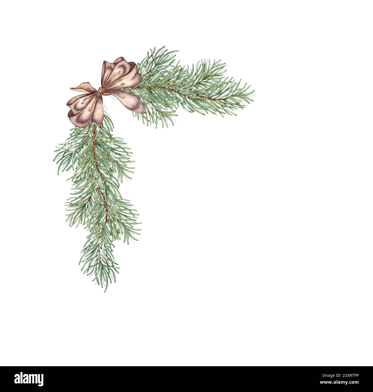 Rami di abete con aghi verdi e un'illustrazione ad acquerello con fiocco di raso marrone. Piante forestali per l'inverno, Natale e Capodanno. Isolat Foto Stock