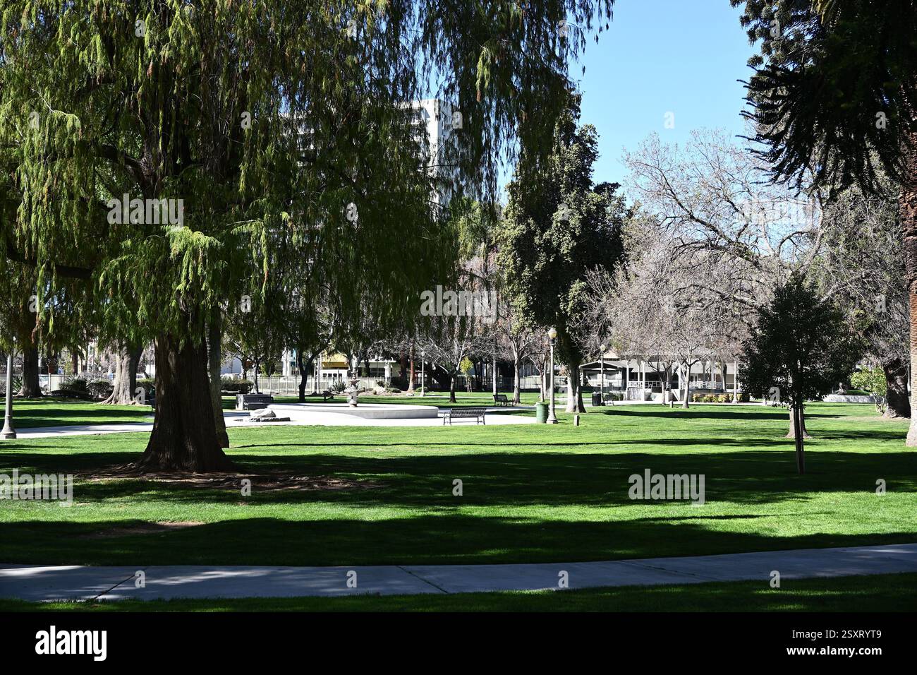 RIVERSIDE, CALIFORNIA - 23 febbraio 2024: White Park è un parco panoramico con sentieri per passeggiate, un gazebo e giardini con piante esotiche. Foto Stock