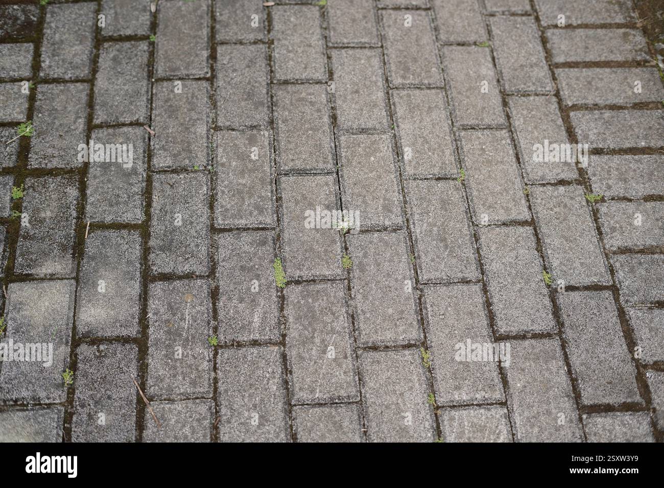 i blocchi di pavimentazione astratti formano linee regolari Foto Stock