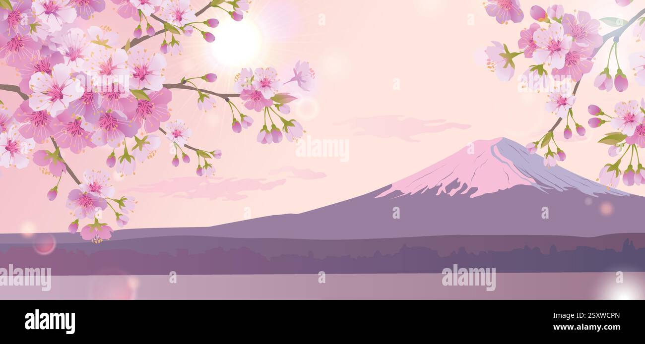 Luminoso paesaggio mattutino con cielo rosa. Rami di ciliegi bianchi in fiore sullo sfondo del Monte Fuji. Tradizionale festival giapponese Hanami Cherry Blossom all'inizio della primavera. Illustrazione piatta Illustrazione Vettoriale