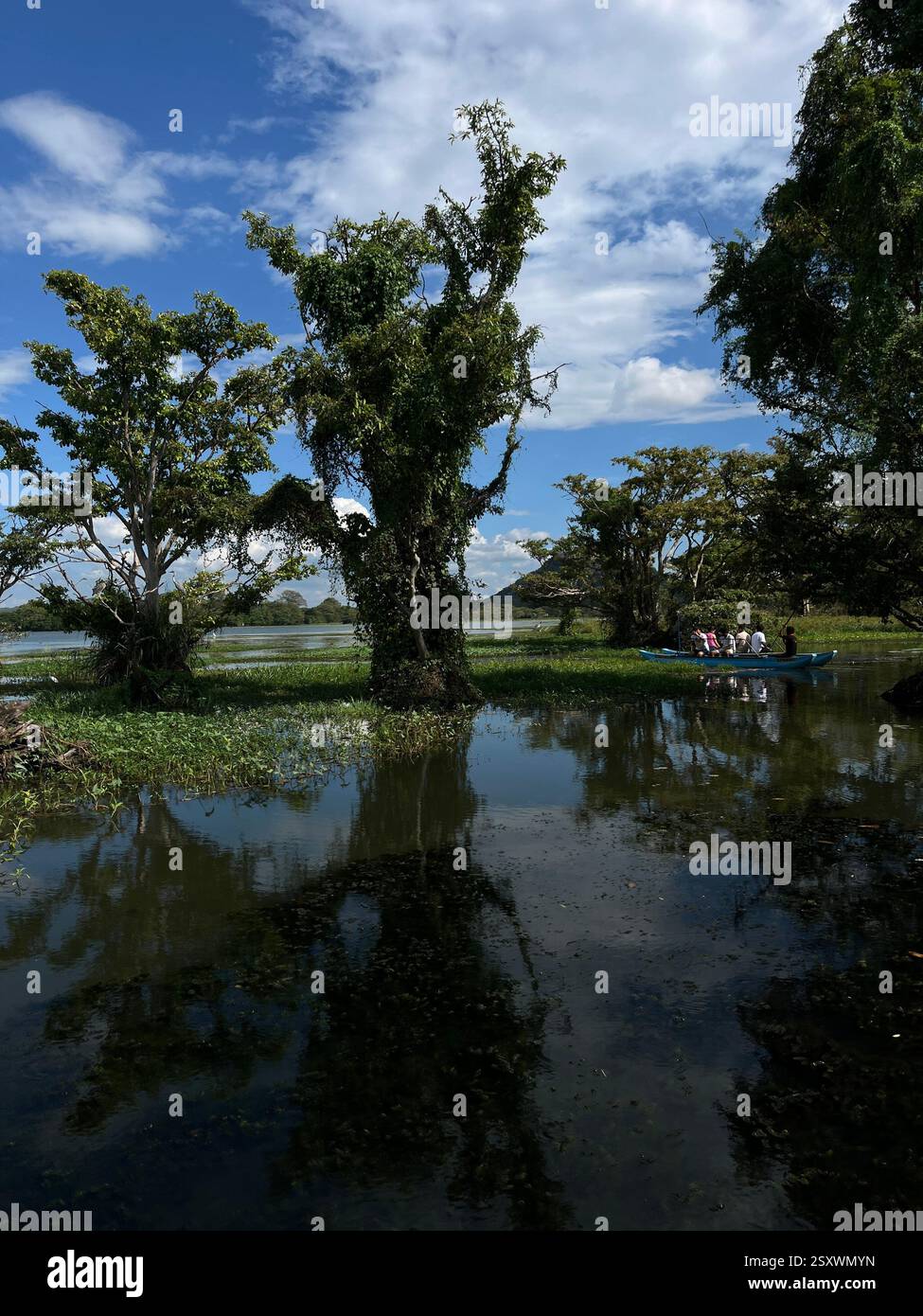 Un viaggio attraverso la natura - Immagine stock catturata con smartphone
