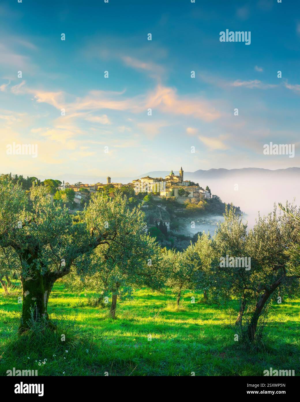 Vista pittoresca del villaggio di Trevi e alberi di ulivo in una mattinata nebbiosa in autunno. Provincia di Perugia, regione Umbria, Italia, Europa Foto Stock