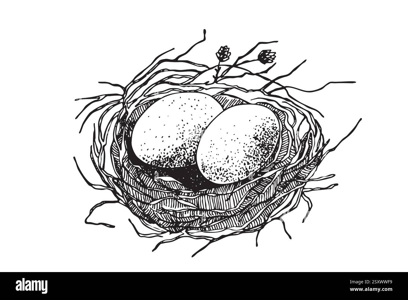 Nido di uccello con uova. Illustrazione vettoriale disegnata a mano durante la Pasqua, design del modello Illustrazione Vettoriale