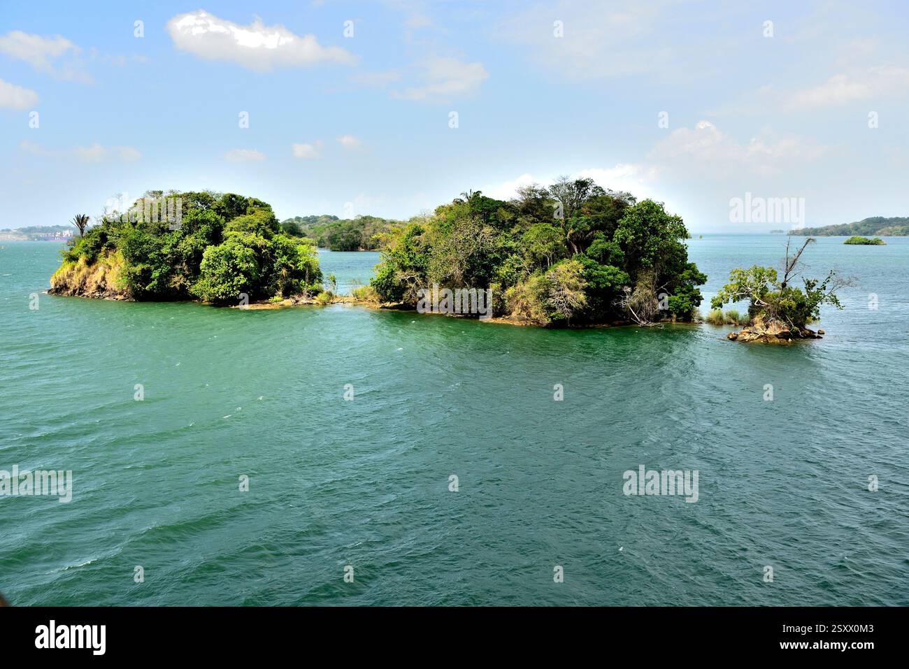 Panamakanal, Gatunsee, Nationalpark, Panama, Südamerika Canale di Panama, lago Gatun, Parco Nazionale, Panama, Sud America, Panamakanal Foto Stock