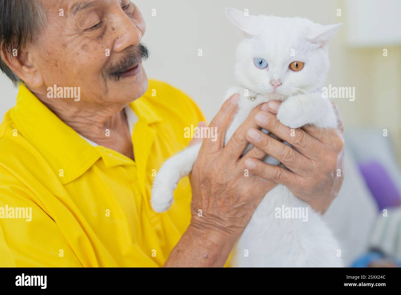 Vecchio in camicia gialla seduto in poltrona a casa e coccolante gatto bianco dolce. Concetto di terapia alternativa Foto Stock