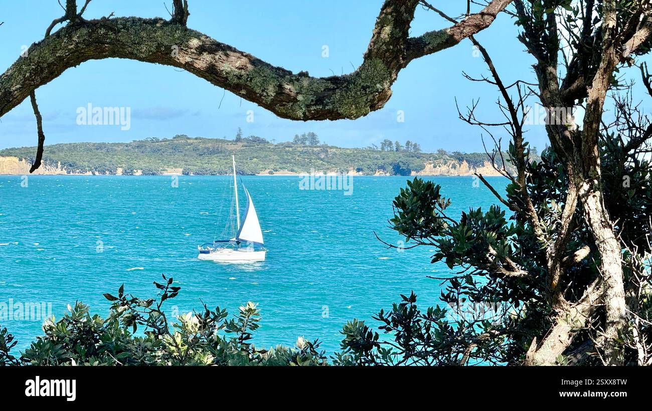 Una piccola barca a vela nel Golfo di Hauraki al largo dell'Isola di Waiheke in nuova Zelanda - Immagine stock catturata con smartphone