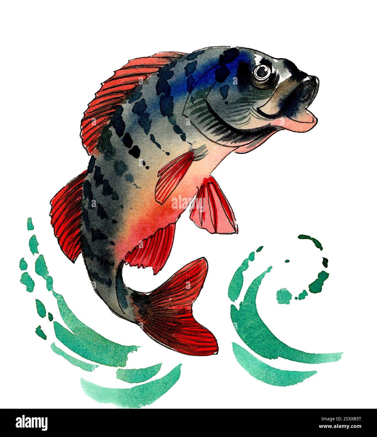 Saltando il pesce. Illustrazione ad acquerello disegnata a mano Foto Stock