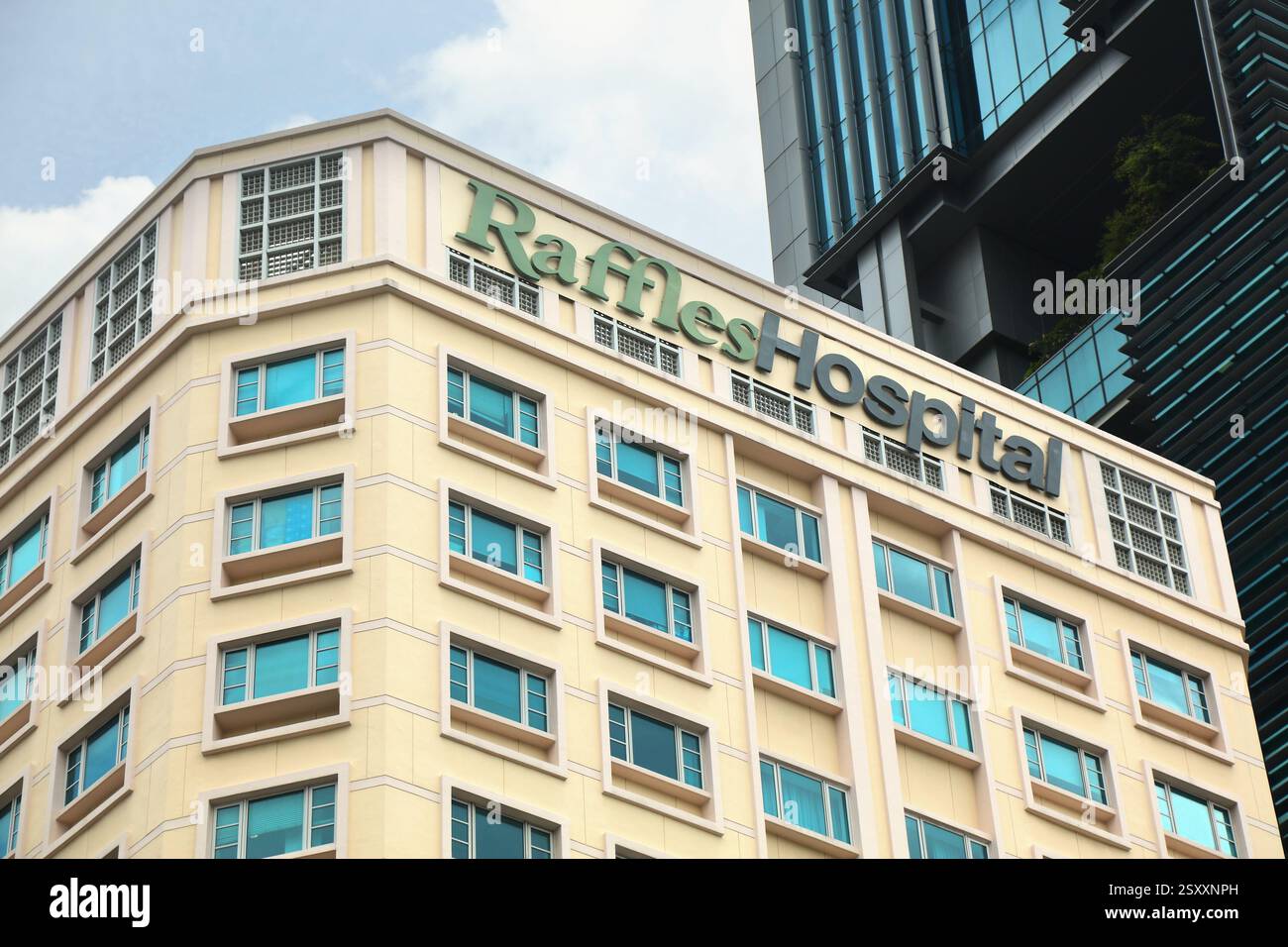 SINGAPORE, SINGAPORE - 14 MARZO 2024: Raffles Hospital, fornitore di servizi sanitari privati nella città di Singapore. Foto Stock