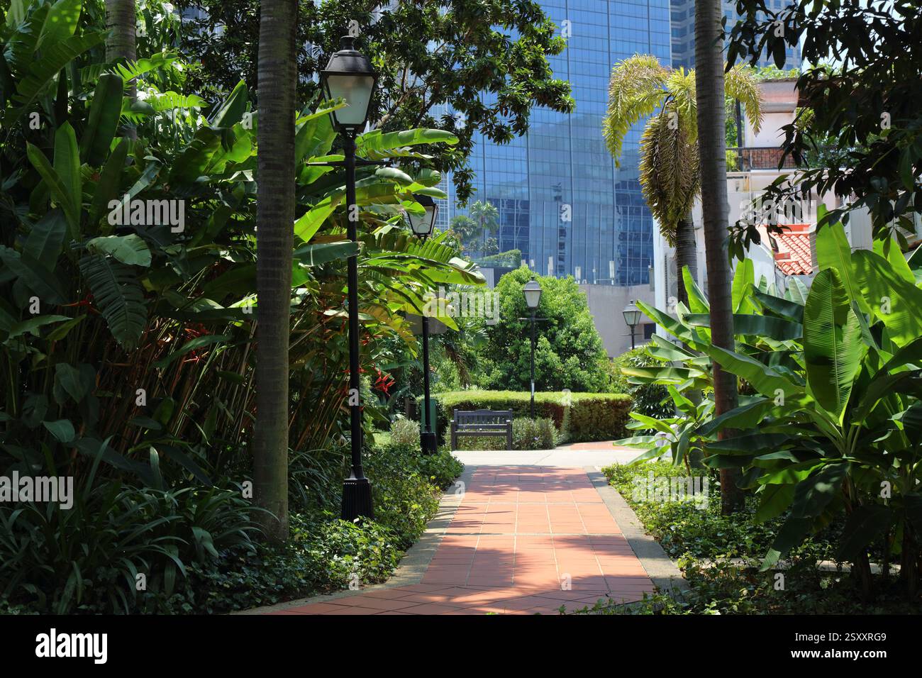 Ann Siang Hill Park nella Chinatown di Singapore. Il verde della città. Foto Stock