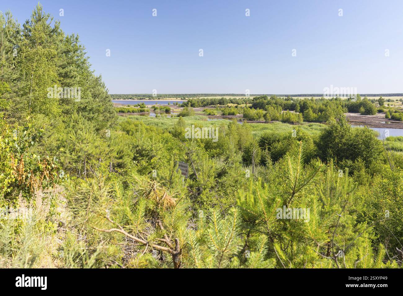 Punto panoramico sul lago Bergen, ancora inondato, Lusaziana, Sassonia, Germania, Europa Foto Stock