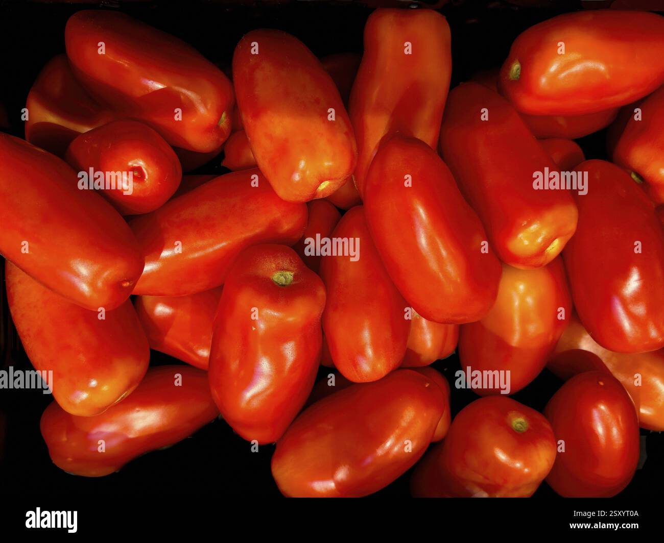 Pomodori rossi San Marzano sfusi, internazionali Foto Stock