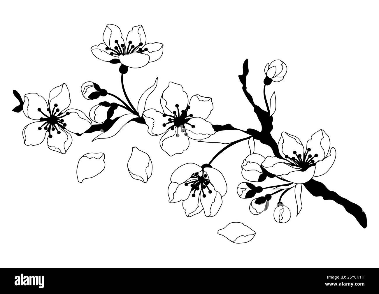 Illustrazione di un ramo con fiore. Mela, sakura o ciliegio in fiore. Illustrazione Vettoriale