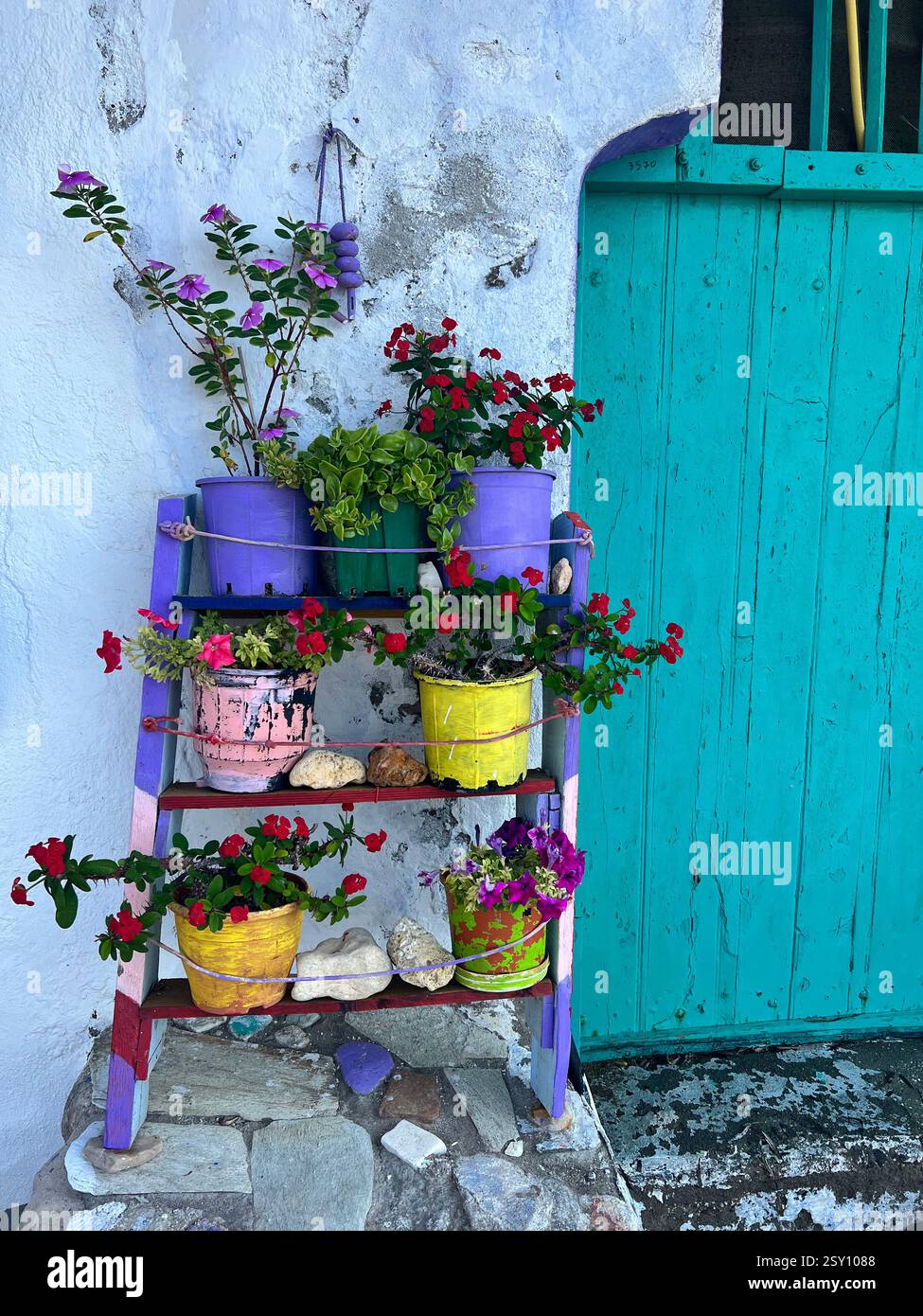 Fiori in vaso colorati contro una porta blu rustica in Grecia Foto Stock