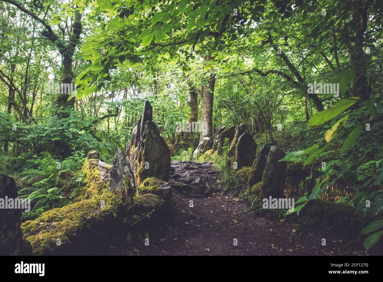 Fairy Bridge di Glen Creran, Appin, Scozia Foto Stock